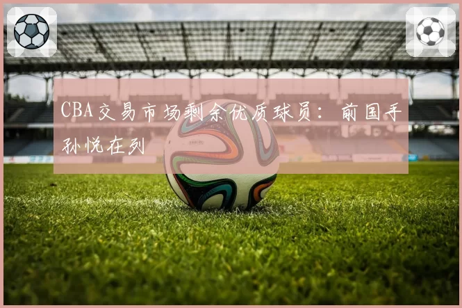 CBA交易市场剩余优质球员：前国手孙悦在列