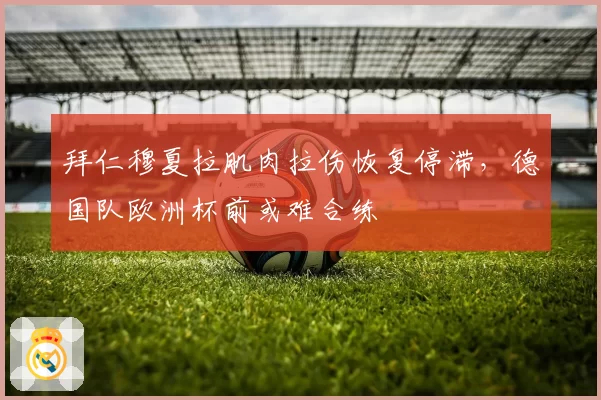 拜仁穆夏拉肌肉拉伤恢复停滞，德国队欧洲杯前或难合练