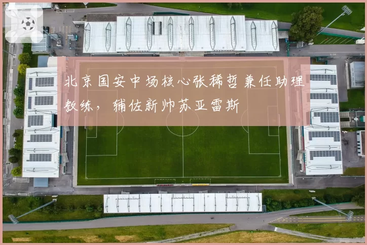 北京国安中场核心张稀哲兼任助理教练,辅佐新帅苏亚雷斯
