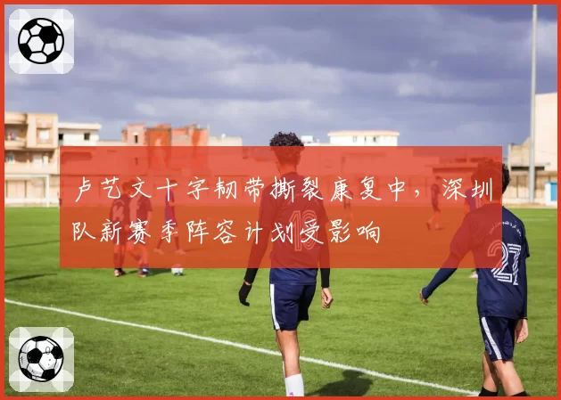 卢艺文十字韧带撕裂康复中，深圳队新赛季阵容计划受影响