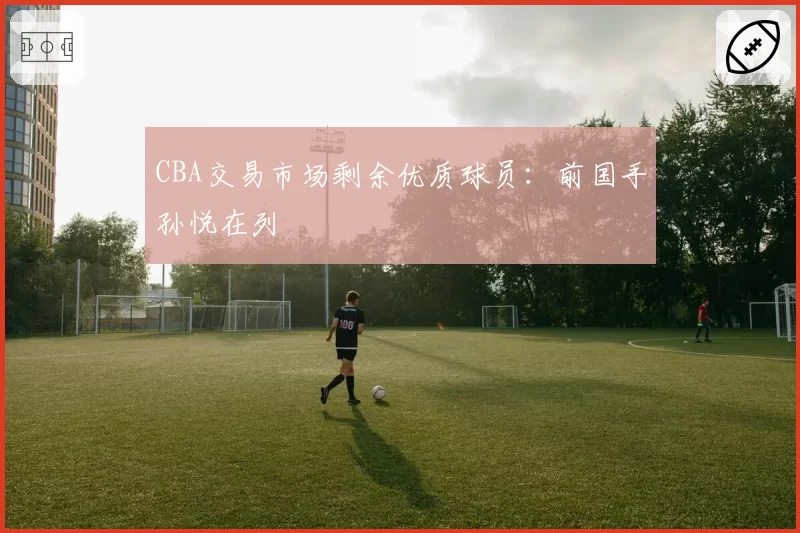 CBA交易市场剩余优质球员：前国手孙悦在列